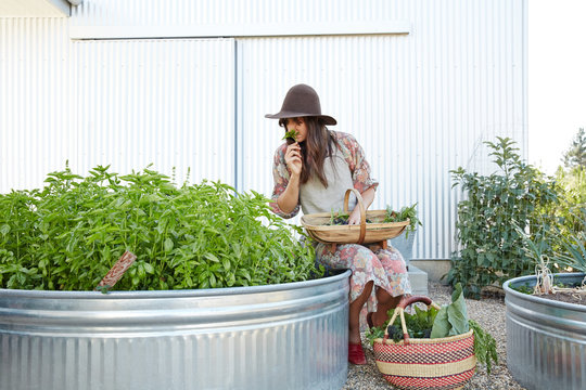 Woman gardening in her backyard vegetable garden