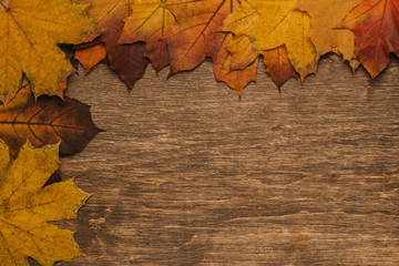 Autumn leaves on a wooden background