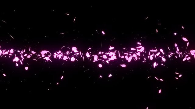 桜 花びら 舞う 満開 ループ 黒背景