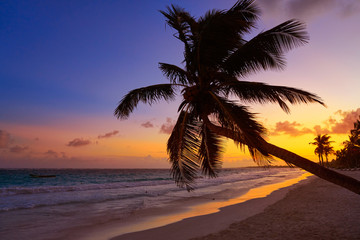 Tulum beach sunset palm tree Riviera Maya