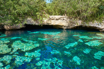 Cenote in Riviera Maya of Mayan Mexico