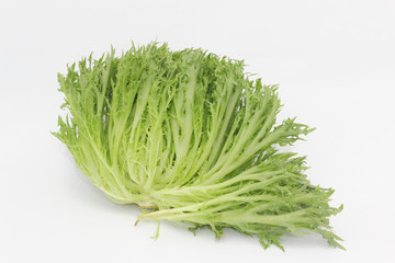 Green tone lollo lettuce on isolated white background
