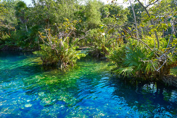 Cenote in Riviera Maya of Mayan Mexico