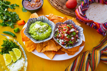 Mexican guacamole and pico gallo sauces