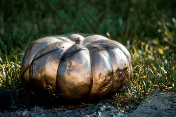 halloween pumpkin on grass