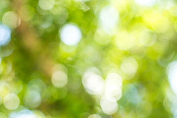 Green bokeh