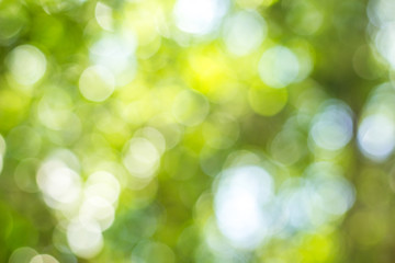 Green bokeh