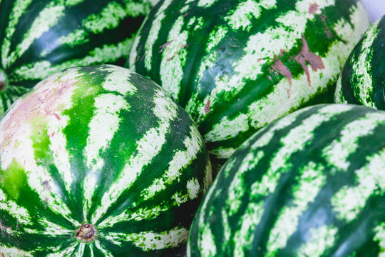 Striped watermelons close-up