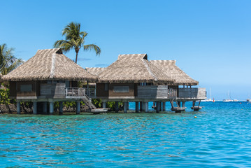     Tahiti in French Polynesia, panorama between sea and sky in the lagoon, beautiful sailing boat
