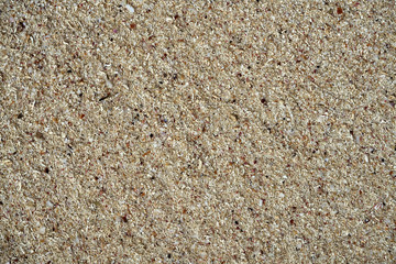 Mayan Riviera sand detail with shell pieces