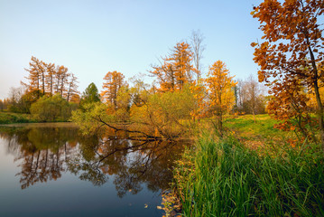 On the shore of the pond in the fall.