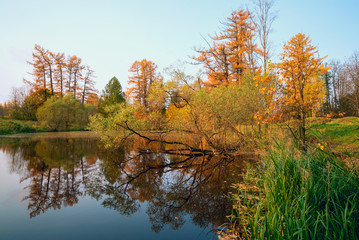 On the shore of a calm pond in the fall.