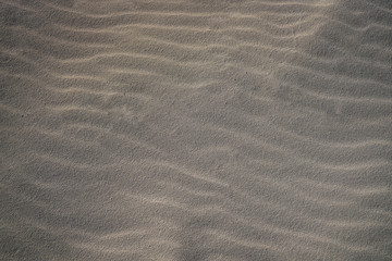 Fototapeta na wymiar Cancun beach sand detail macro texture
