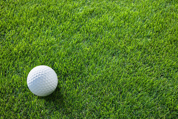 Golf ball ready to be hit on the green grass.