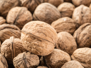Walnuts. Food background.
