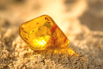 Bernstein am Ostseestrand