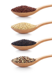 Black, red and white quinoa grains on wooden spoon.