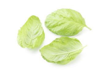 Fototapeta premium Basil