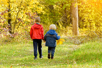 Naklejka na ściany i meble Two boys walking in the autumn forest. Sunny day. Back view