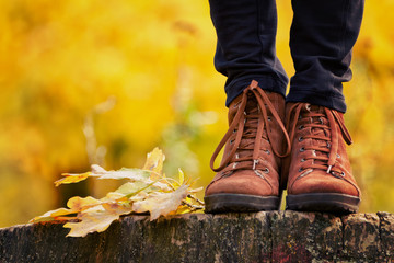 Brown female shoes on a stump, wanting foliage. Autumn concept