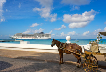 Cozumel island horse carriage and cruise