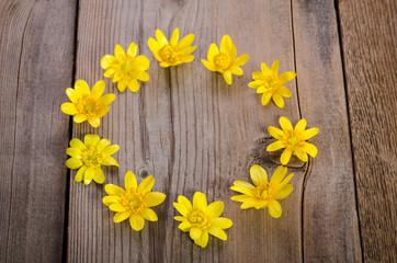 frame of yellow flowers on wooden background