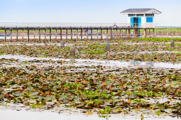 Hut in Vast Lake in Thailand