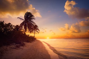 Fotobehang Holbox island sunset beach Mexico © lunamarina
