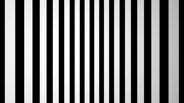 Abstract background with black and white lines. Seamless loop