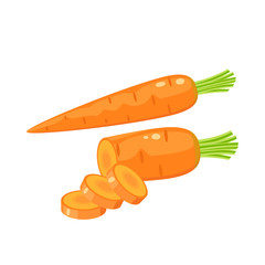Vegetables. Carrot, whole and sliced. Vector illustration cartoon flat icon isolated on white.