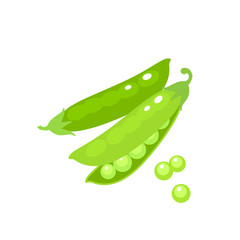 Vegetables. Green pea pod. Vector illustration cartoon flat icon isolated on white.