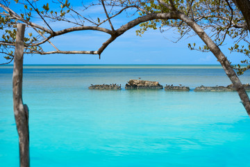 Holbox tropical Island in Quintana Roo Mexico