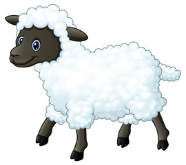 Cute sheep cartoon