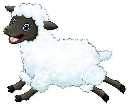 Cartoon happy sheep jumping isolated on white background