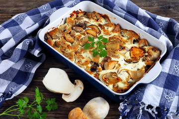 tasty stew with wild Mushrooms, close-up