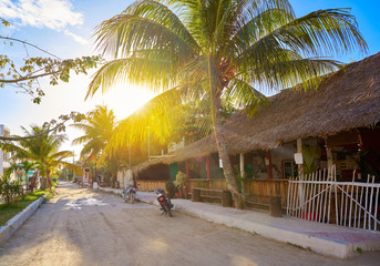 Île tropicale Holbox à Quintana Roo Mexique