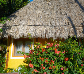 Fototapeta na wymiar Holbox Island colorful Caribbean palapa hut