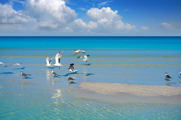 Holbox Island turquoise in Quintana Roo Mexico