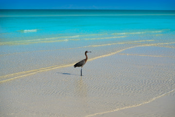 Holbox Island turquoise in Quintana Roo Mexico