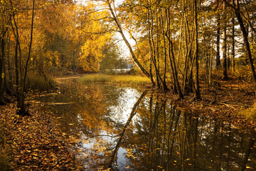 Fototapeta na wymiar Autumn River. Pomerania, Poland