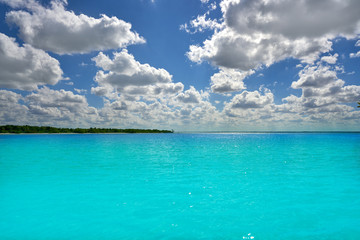 Holbox Island beach mangroove in Mexico