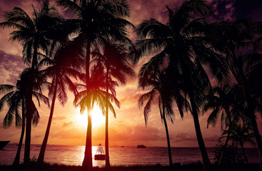 Isla Mujeres island Caribbean beach sunset