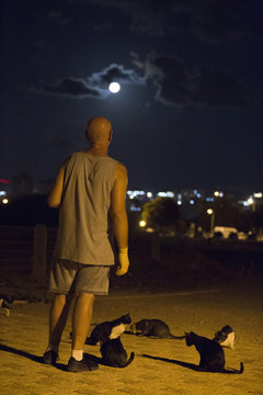 On The Street Is A Man  Surrounded By Five Cats And Looks At The Night City In The Light Of The Moon