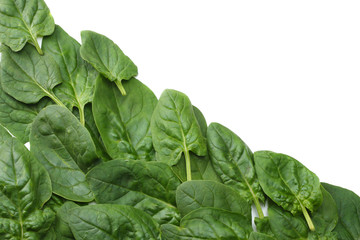 spinach leaves isolate on white background top view