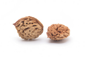 Bone peach on a white background