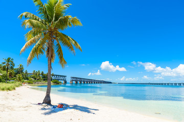Bahia Honda State Park - Calusa Beach, Florida Keys - tropical coast with paradise beaches - USA - obrazy, fototapety, plakaty