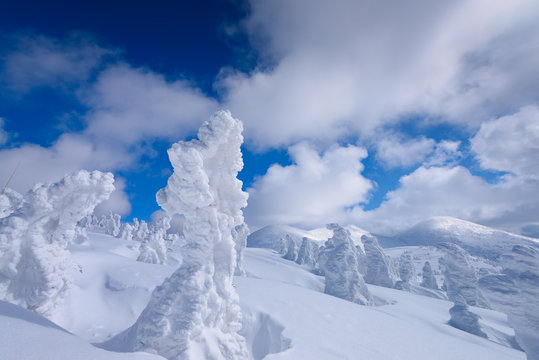 1 124 Best 八甲田山 Images Stock Photos Vectors Adobe Stock