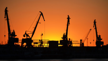 crane