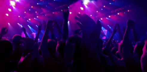 Fototapeta na wymiar A crowd of spectators at a concert, a rock festival