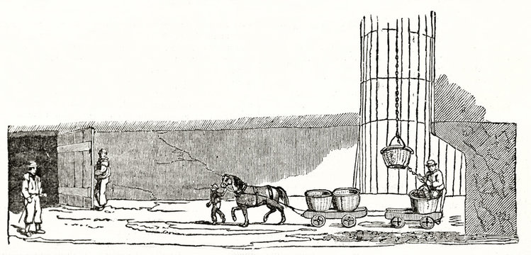 Old illustration of a horse who works carrying goods in a storage. South Hetton colliery pit bottom, United Kingdom. By unidentified author, published on Penny Magazine, London, 1835